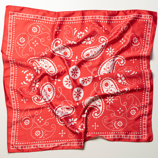 Red Paisley Neck Scarf